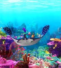 Corais Procurando Nemo 2003 Esponjas Porifero Beautiful Sea Creatures Underwater Pictures Ocean Life Photography