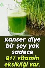 Nurhan Kurt Adli Kullanicinin Kanseri Karsi Icecek Panosundaki Pin Saglik Urunleri Saglik Saglikli Yasam Tarzi