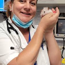 Best Cat Nail Trim near Wet Paws Grooming Studio in Mountain View, CA