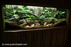 6ft Paludarium Journal Pictures Water Terrarium Fish Tank Terrarium Aquascape Aquarium