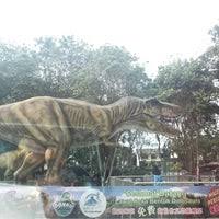 Hotels near tanjung emas park. Don Hu Jurassic Park Garden Park