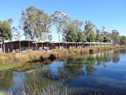 Shepparton lake from 35m including the gym and pool area and the construction of the sam (shepparton arts museum). Victoria Lake Holiday Park Shepparton Victoria Au Reservations Com