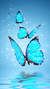 Check spelling or type a new query. Blue Butterflies Iphone Wallpaper Background Blue Butterfly Wallpaper Butterfly Wallpaper Butterfly Background