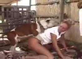 / discover the best of hovland so you can plan your trip right. Bien Baisee Cette Garce Homme Et Dog Zoophilia Porn Zoophilia Porn With Dog At Madnessporn
