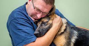 Do Dogs Understand Death Terribly Terrier
