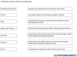 Setiap kelas makanan ini mempunyai kebaikan dan fungsi yang tertentu kepada. 4 5 2 Fungsi Kelas Makanan Kepada Wanita Mengandung Worksheet