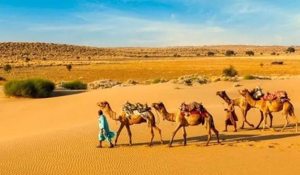 Luxury Jaisalmer Tour Package for a Royal Desert Experience