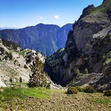 Image result for Kedrostis abdallai