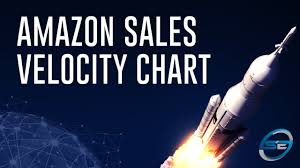 Amazon Sales Velocity Chart Seller Essentials