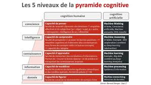Les 5 Niveaux De La Pyramide Cognitive En 2020 Emotions Pyramide Les 5