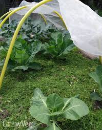 It is available 24 hours. Free Mulch How To Make It And Where To Get More