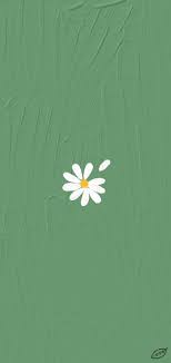 See more ideas about green aesthetic, soft green, mint green aesthetic. Green Aesthetic Wallpaper Mint Green Wallpaper Iphone Mint Green Wallpaper Iphone Wallpaper Green