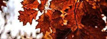Le moyen le plus simple pour créer des photos de couverture pour facebook en utilisant notre créateur de photo collage ! Feuilles Automne 5000 Photos De Couverture Facebook