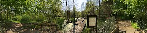 Insgesamt nimmt der umzäunte bereich des botanischen gartens eine größe von 13 hektar ein. Tertiarlandschaft Botanischer Garten Bochum Stadtpanorama