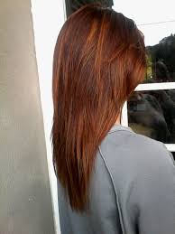Couleur De Base Acajou Cuivre Avec Meches Blond Miel Cheveux Acajou Coupe De Cheveux Couleur Cheveux Tendance