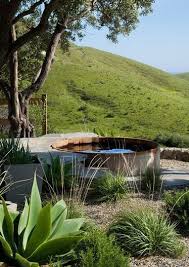 Pin By Rebecca Payne On Landscaping Small Backyard Pools Backyard Pool Backyard