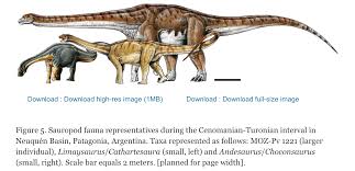 Shipping pallets vary in size around the world, but in the us the most common size is 48 x 40 inches. Dino Bios January 2021