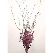 August Grove Tall Curly Willow And Caspia Dried Flower Floral Arrangement Flower Leaves Color Dried Flower Arrangements Dried Flower Bouquet Dried Flowers