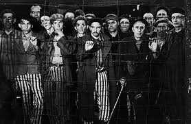 Image result for holocaust photos