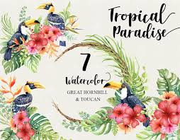 Watercolor Bird Of Paradise Png Watercolor Tropical Birds Great Hornbill And Toucan Etsy Watercolor Tropical Birds Great Hornbill And Toucan Flowers Leaves Bird Of Paradise Hibiscus Trop