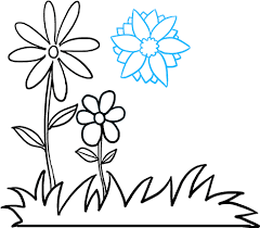 41 stunning backyard garden ideas (photos) gardens and landscaping. How To Draw Flower Garden Drawing Full Size Png Download Seekpng