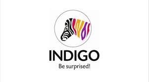 Indigo paints is a young paints manufacturing company, focusing on delivering & servicing the. V8a54un5uq4 1m
