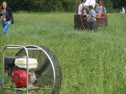 и все доступно уж эхма теперь для нашего ума Ogromnyj Shar Nadutyj Parom Podnyalsya V Vozduh On Nedarom S