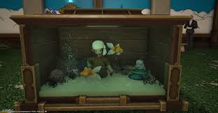 I Wasn T Satisfied With The Limited Number Of Aquarium Decorations Ffxiv