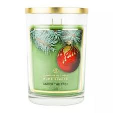Shop Target For Jar Candles Candles You Will Love At Great Low Prices Free Shipping Or Same Day P Scented Candle Jars Glass Jar Candles Chesapeake Bay Candles