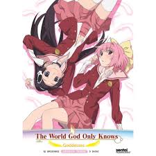 expect more pay less anime anime dvd goddess