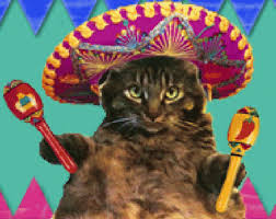 Birthday Cat Gif By Memecandy Find Share On Giphy #dancing cat gif #dancing cat #cute #adorable #cats #funny #chibi. birthday cat gif by memecandy find