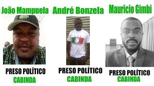 Atropelamentos de animais silvestres em rodovia do mato grosso do sul só crescem. Abaixo Assinado Peticao Publica Para A Libertacao Dos 3 Activistas Da Uci Em Cabinda Change Org