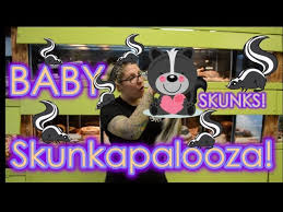 Pet grooming services offered every wednesday. Nj Exotic Episode 7 Skunkapalooza Skunks Are Here Youtube