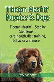 Tibetan Mastiff Puppies Dogs Tibetan Mastiff Step By