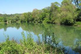 Wenden sie sich bitte an wernauer baggerseen. Fruhlingstipp Huttensee Und Schaferhauser See In Wendlingen Swe Stadtwerke Esslingen