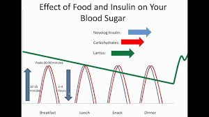 Food And Your Blood Sugar Lantus And Novolog Childrens