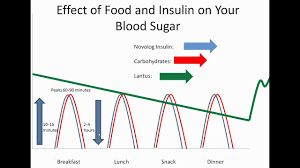 Food And Your Blood Sugar Lantus And Novolog Diabetes Center For Children At Chop