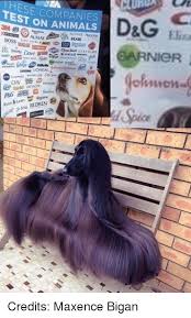 19.10.2020 · l'oreal's animal testing policy contradicts itself. 25 Best Memes About Loreal Loreal Memes