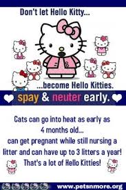 Spayneuterusa endeavors to prevent the birth of unwanted animals spay and neuter certificates are available online or by visiting one of the six la animal services la animal services announced wednesday they will offer free spay/neuter surgeries to all cat owners in. List Of Free To Low Cost Spay And Neuter Clinics Dog Insurance Neuter Pet Care Dogs