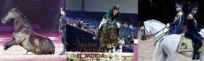 Salon du cheval el jadida. Salon Du Cheval D El Jadida Infos Tourisme El Jadida