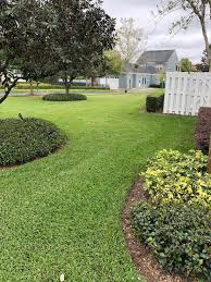 Do it yourself lawn and pest oviedo fl. Pest Control Orlando Protex Lawn Care Pest Control