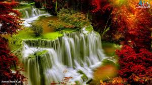 Download hd hd nature wallpapers best collection. Nature Wallpaper Full Hd Gallery Images Photo Free Download Ansunibaate