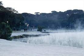 Parque barigui nesta manhã alguns capinchos em meio ao gelo. A Geada E O Tema Da Nova Edicao Do Olhar Curitiba Prefeitura De Curitiba