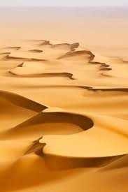 Sable western hognose for sale in the united states. O O Deserts Of The World Beautiful Landscapes Scenery