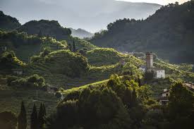 Veneto, un complesso affresco del vino: colori, paesaggi e stili diversi -  Vendemmie