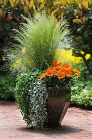 Specifically, pots can come in various colors, shapes, and materials. 28 Best Tall Outdoor Planters Ideas Outdoor Planters Garden Containers Container Gardening