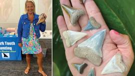 The Shark Tooth Lady