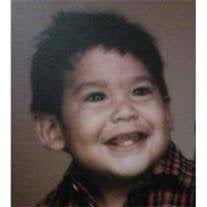 Albert Camarillo Jr. Obituary