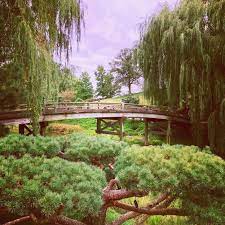 Japanese Garden Chicago Botanic Garden Thorgift Com If You Like It Please Buy Some From Thorgift