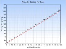 Rimadyl For Dogs Veterinary Place